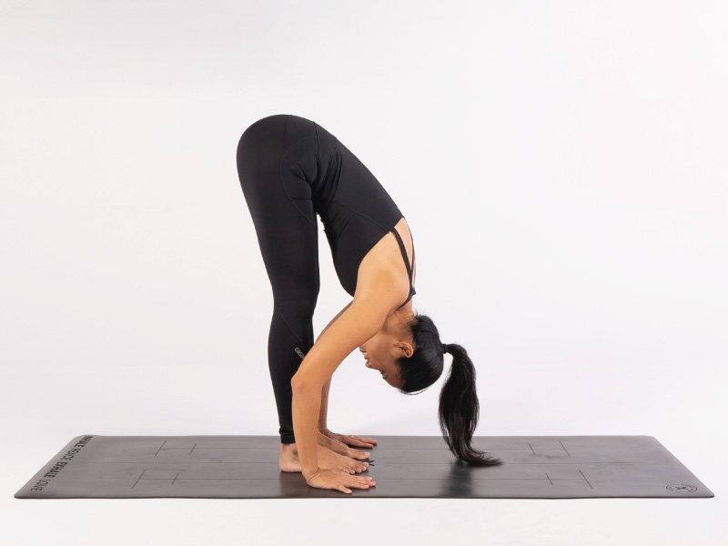 Iyengaryoga